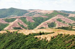 生態(tài)項(xiàng)目